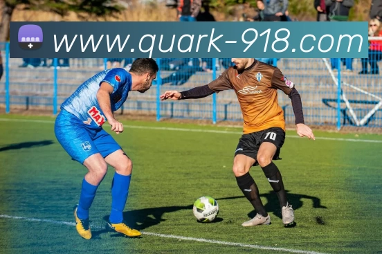 博天堂服务体系