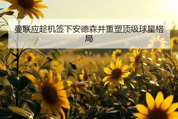 曼联应趁机签下安德森并重塑顶级球星格局